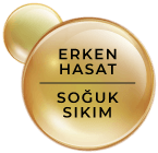 Q FARM ERKEN HASAT SOĞUK SIKIM ZEYTİNYAĞI