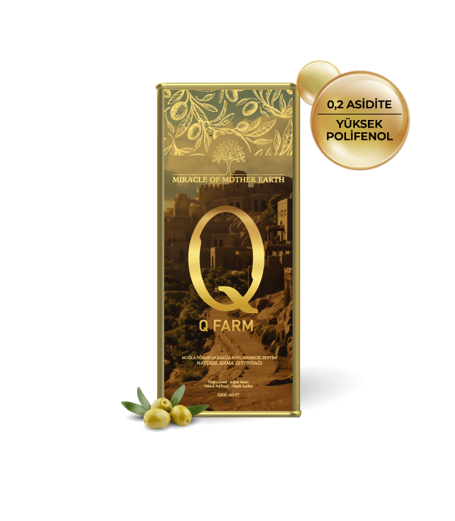 EARLY HARVEST Q FARM COLD PRESSED OLIVE OIL - 5 LT