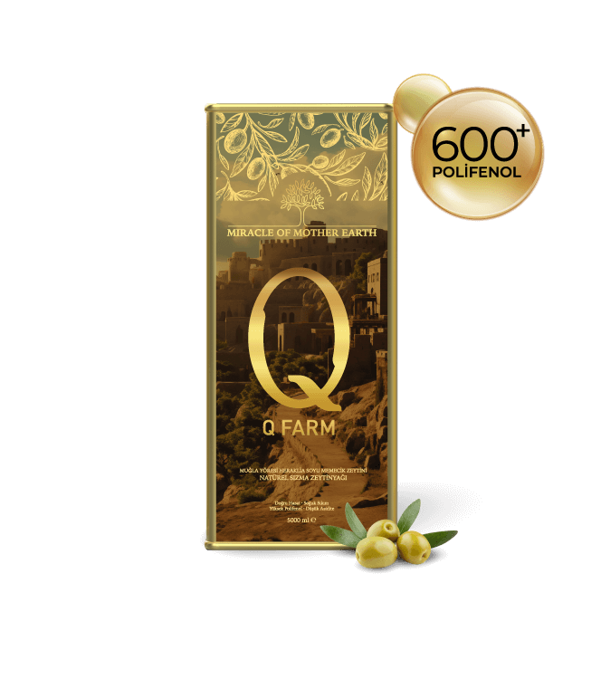 EARLY HARVEST Q FARM COLD PRESSED OLIVE OIL - 5 LT