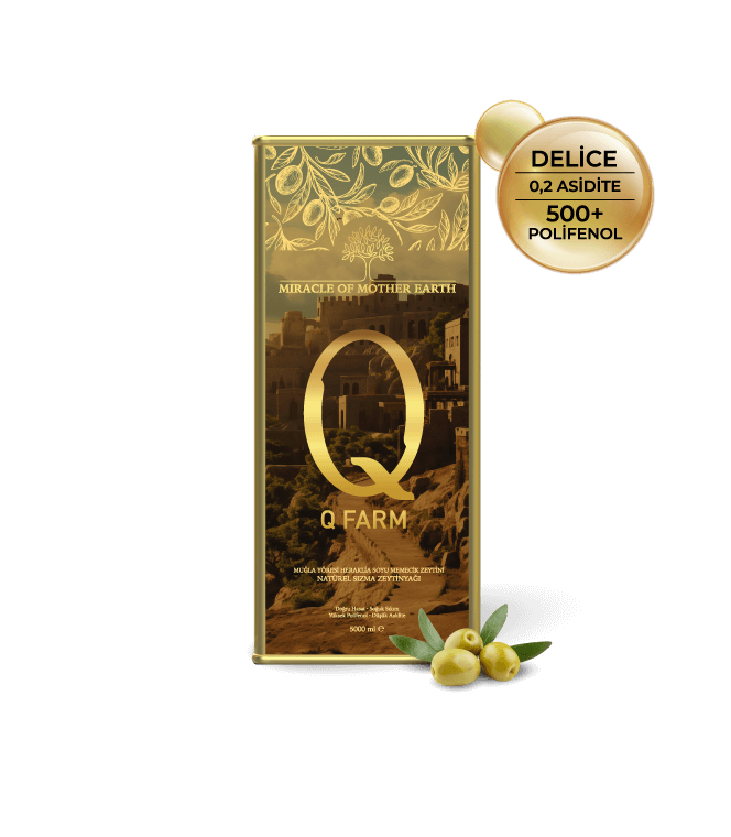 EARLY HARVEST Q FARM COLD PRESSED OLIVE OIL - 5 LT