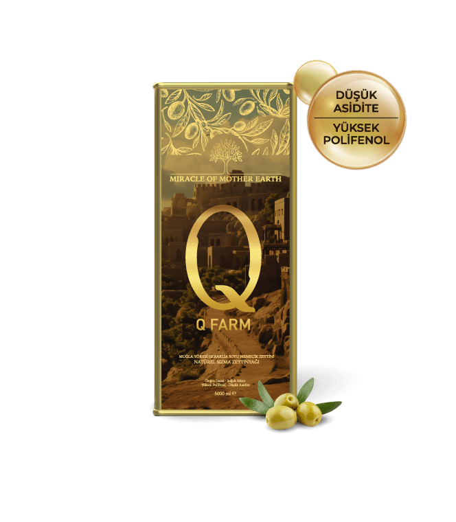 EARLY HARVEST Q FARM COLD PRESSED OLIVE OIL - 5 LT